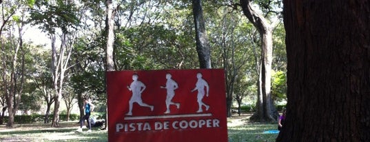 Pista de Cooper is one of Atrações do Parque Ibirapuera.