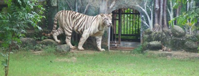 Nandankanan Zoological Park is one of #4sq365In 2of2.