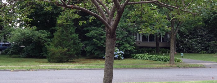 Stanley Triangle is one of Montrose Park Landmarks.