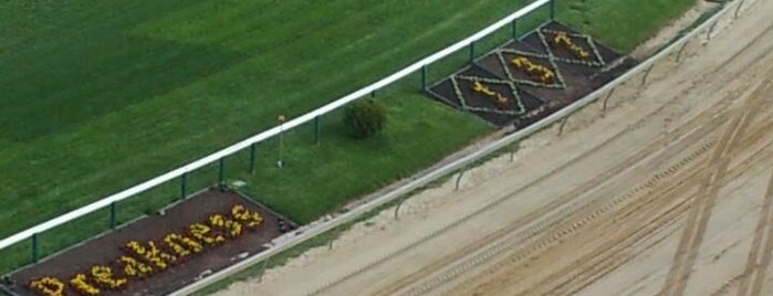 Pimlico Race Course is one of Equestrian Life.