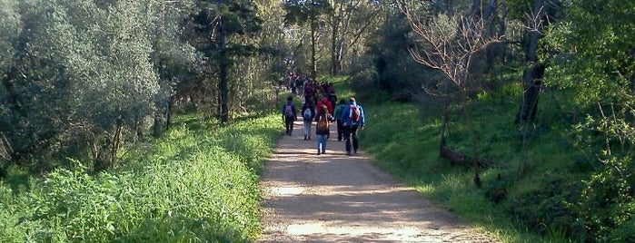 Parque Florestal de Monsanto is one of Best of Lisbon #4sqCities.