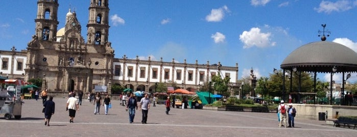 Zapopan Centro is one of Irvingさんのお気に入りスポット.