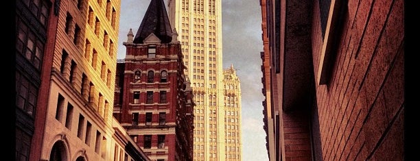 Woolworth Building is one of NY.
