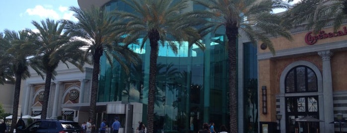 The Mall at Millenia is one of Nice Places in Orlando, FL.