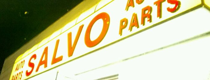Salvo Auto Parts is one of My favorites.