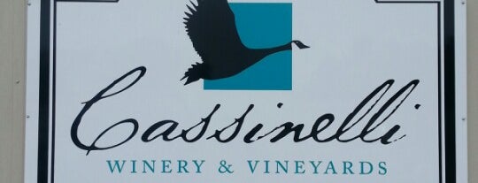 Cassinelli Winery And Vineyards is one of Maryland Vineyards.