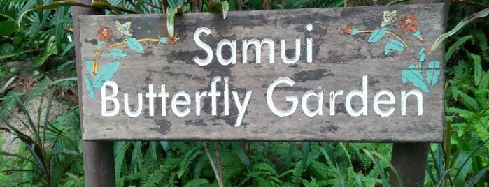 Samui Butterfly Garden is one of Samui.