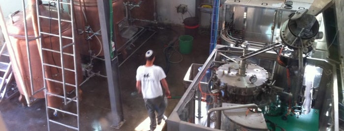 Butterfly Bewery is one of Israeli breweries.