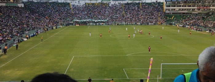 Estadio León is one of Lugares que debo visitar en mi viaje.