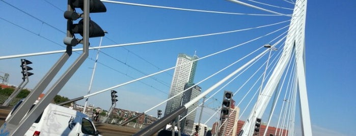 Mijn Rotterdam