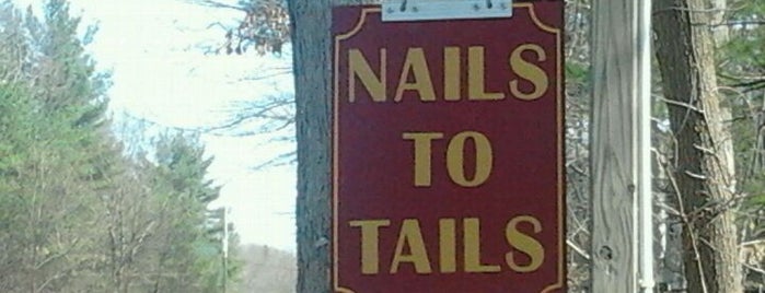 nails to tails (pet Grooming)rimrock rd is one of outdoor stuff.