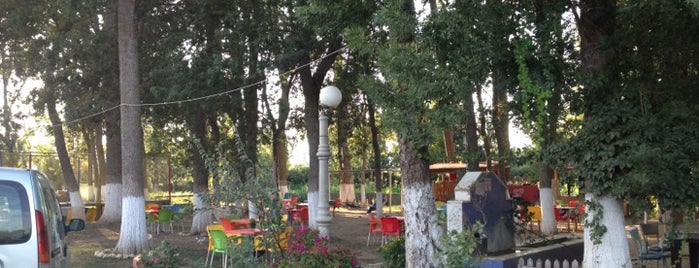 Gökçeyazı Çay Bahçesi is one of Tempat yang Disukai Mürvet.