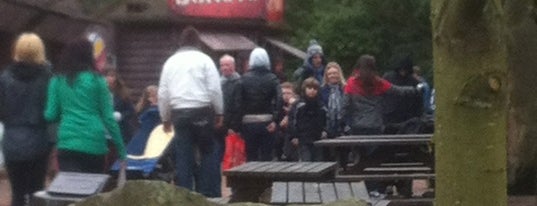 Nemices is one of Alton Towers - Everything!.