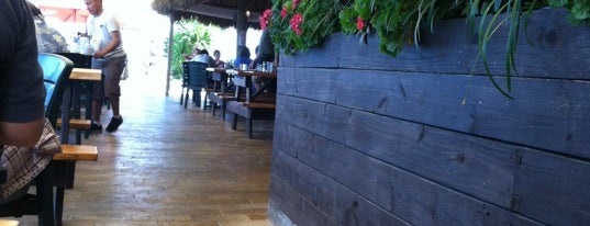 The Island Tiki Bar & Restaurant is one of Lugares favoritos de Rachel.