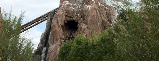 Expedition Everest is one of Disney World/Islands of Adventure.