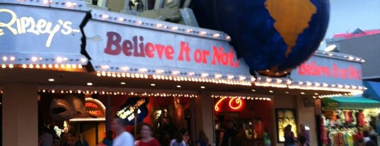 Ripley's Believe It or Not! is one of Things To Do In NJ.