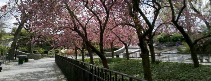 Carl Schurz Park is one of NYC Outdoorsy Faves.