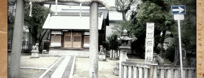 川俣神社 is one of 式内社 河内国.