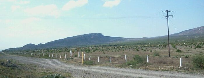 Carretera, San Luis. is one of Alitzelさんのお気に入りスポット.