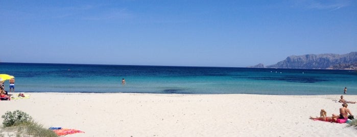 Spiaggia de Pittulongu is one of Sardinia.