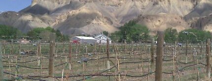 Garfield Estates Vineyard & Winery is one of Denver/Boulder Wineries.