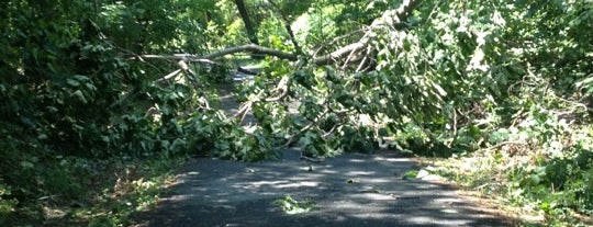 Capital Crescent - Brookville Rd. is one of CR Day 5.