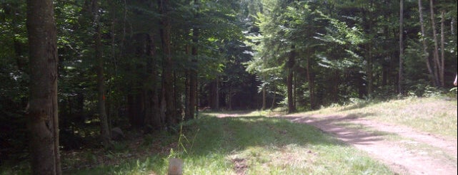 Brewster Ridge Disc Golf Course is one of Top Picks for Disc Golf Courses.
