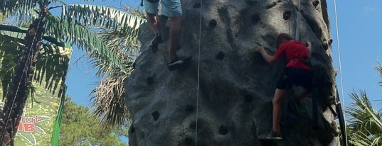 Rock Wall is one of Locais curtidos por Lizzie.