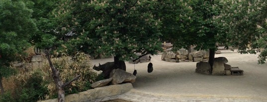 Schönbrunn Zoo is one of <3.