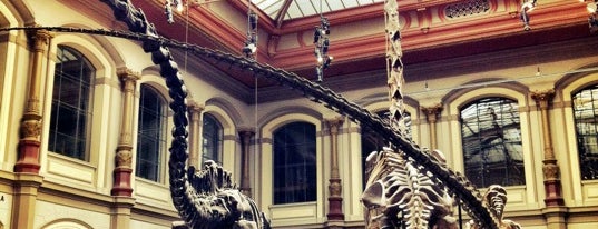 Museo de Historia Natural is one of Berlin | Deutschland.