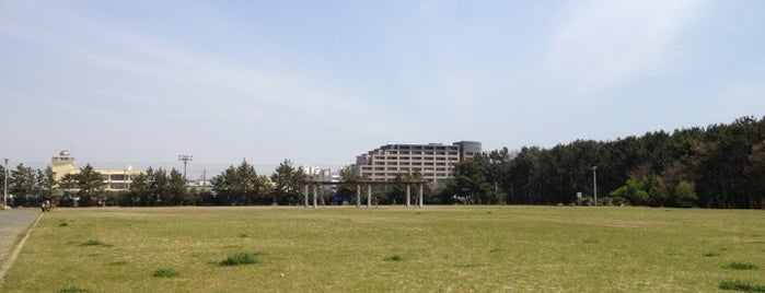 湘南海岸公園 is one of 神奈川県立都市公園一覧.