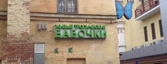 Выставка Бабочек is one of Новгород.