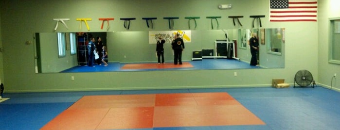 Villari's Self Defense Center is one of My Favorite Fitness Places.
