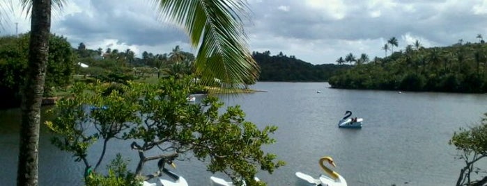 Parque Metropolitano de Pituaçu is one of Points de Salvador.