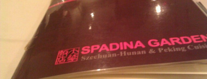 Spadina Garden Restaurant is one of Favorite restaurants.