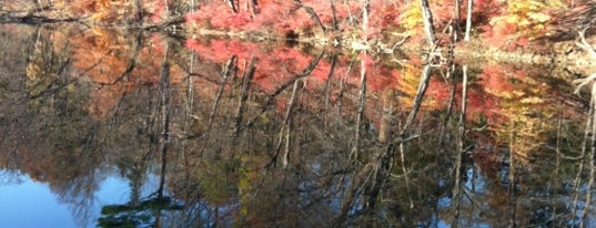 Speedwell Park is one of Locais curtidos por Keith.