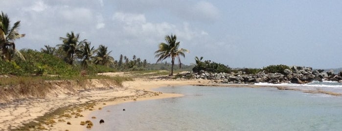 Playa Grande is one of Srini'nin Kaydettiği Mekanlar.