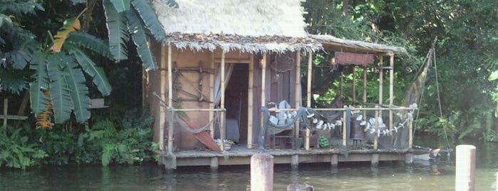 Jungle Cruise is one of Nice spots and things to do in Orlando, FL.