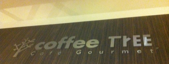 Coffee Tree is one of สถานที่ที่ Luis Arturo ถูกใจ.