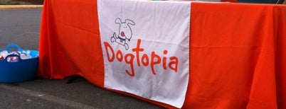 Dogtopia of Dulles is one of best of greater dc.