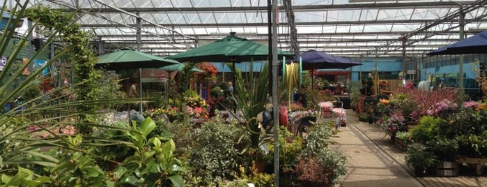 Hearts Delight Garden Centre is one of Guide to Manningtree's best spots.