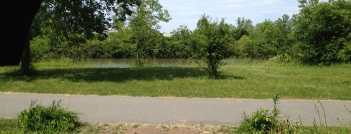 Erie Canal Trail is one of 363 Miles on the Erie Canal.