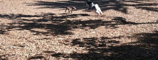 Oberrieder Dog Park is one of Tempat yang Disukai T.