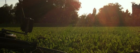 Parco Dei Cedri is one of Il verde a Bologna.