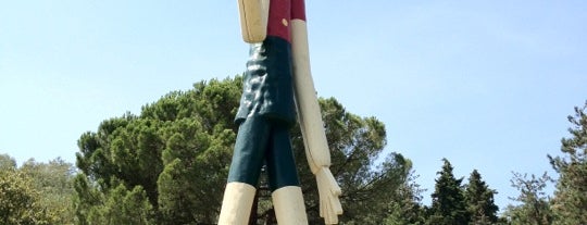 Parco di Pinocchio is one of Amusement parks in Tuscany.
