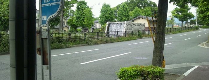 松ノ下町 バス停 is one of 京都市バス バス停留所 1/4.