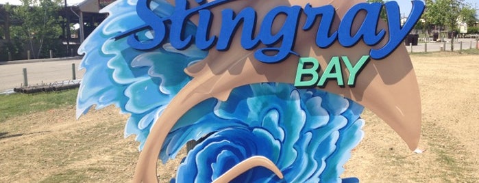 Stingray Bay is one of Tammyさんのお気に入りスポット.