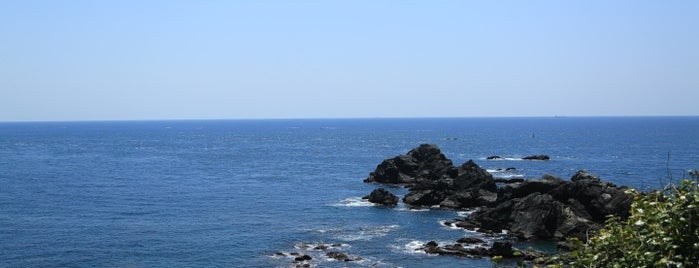 Cape Shionomisaki is one of 日本の端.