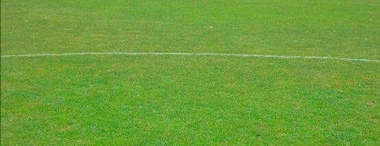 Stadio Roccheggiani is one of Campi Sportivi di Calcio di Ancona.