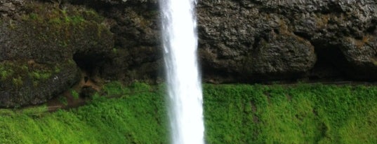 Silver Falls State Park is one of OR/WA To-Do.